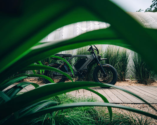 Ristretto Launches in Europe & Australia