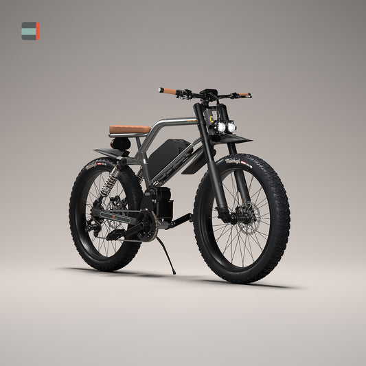 303FS Graphite